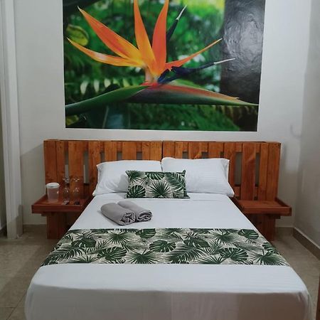 אנביגאדו Hospedajes El Jardin מראה חיצוני תמונה